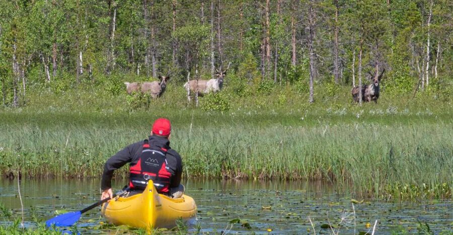 Rovaniemi: Authentic Reindeer Farm & Canoeing - From Rovaniemi to a reindeer farm by the lake