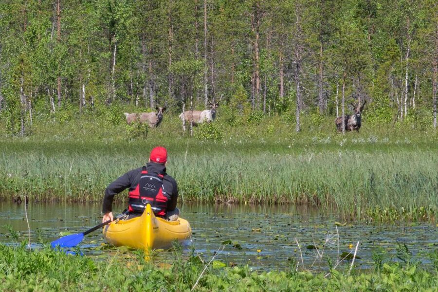 Rovaniemi: Authentic Reindeer Farm & Canoeing - A campfire pause with hot drinks and cookies