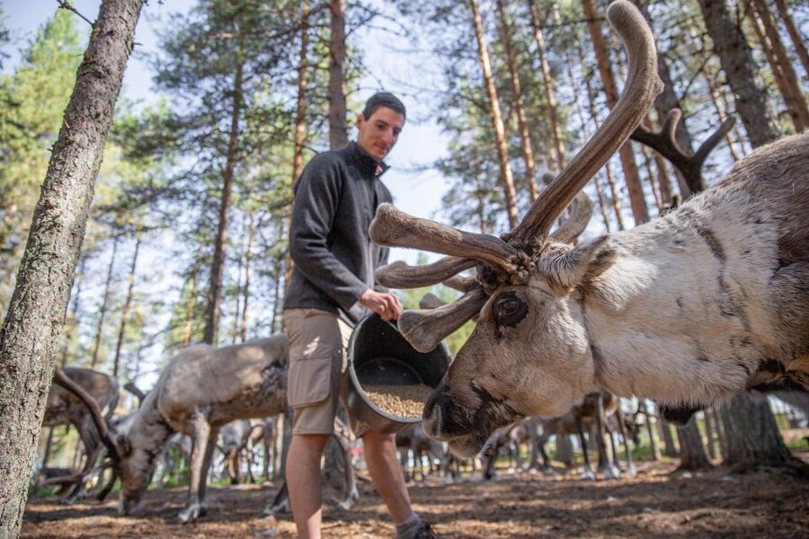 Rovaniemi: Authentic Reindeer Farm & Canoeing - Learning to canoe on a calm Arctic lake