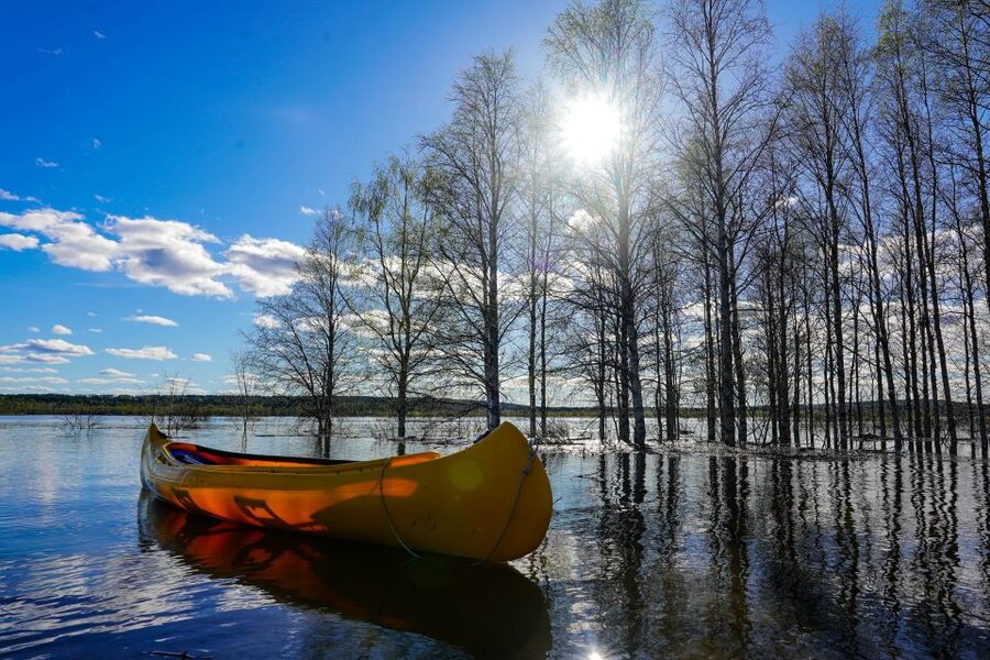 Rovaniemi: Authentic Reindeer Farm & Canoeing - Should you book the reindeer farm and canoeing tour?