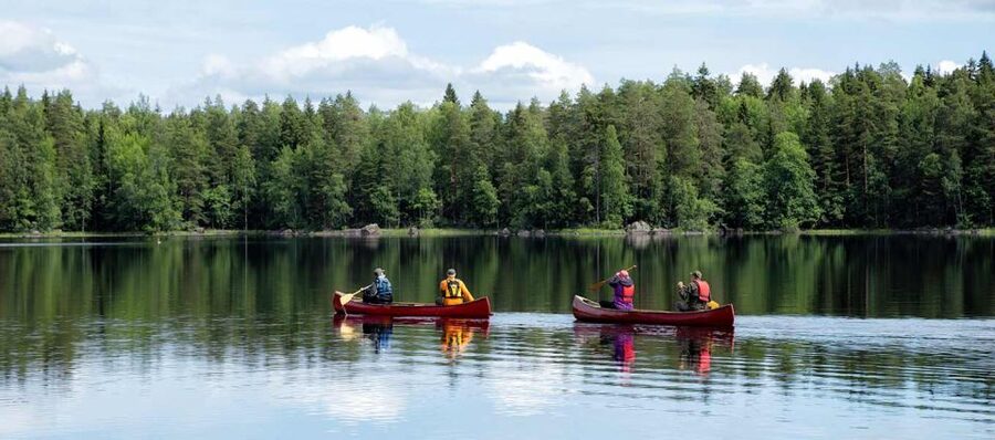 Rovaniemi: Guided Wilderness Kayaking Adventure - What this Rovaniemi paddle is really like