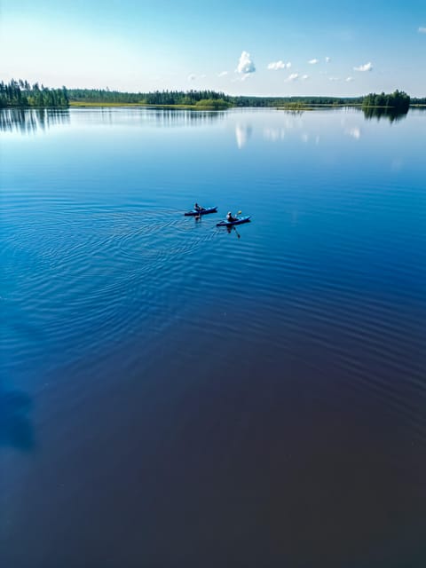 Rovaniemi: Guided Wilderness Kayaking Adventure - Pickup, timing, and the value of $117