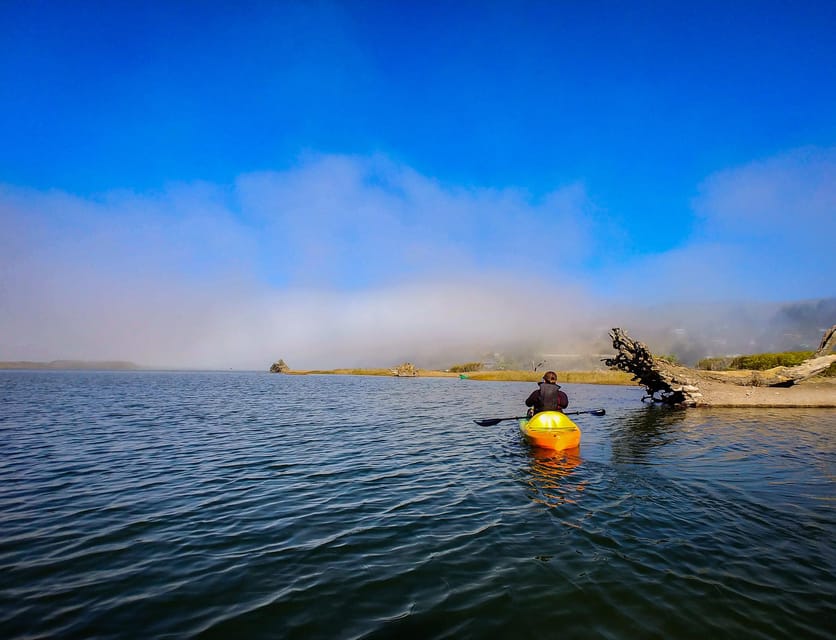Russian River: Kayak Tour - Stories about the river, not just scenery
