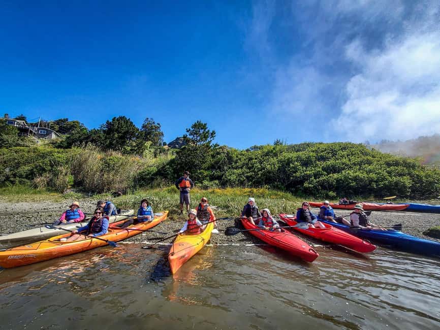 Russian River: Kayak Tour - Meeting the river in Jenner at 10:00 AM