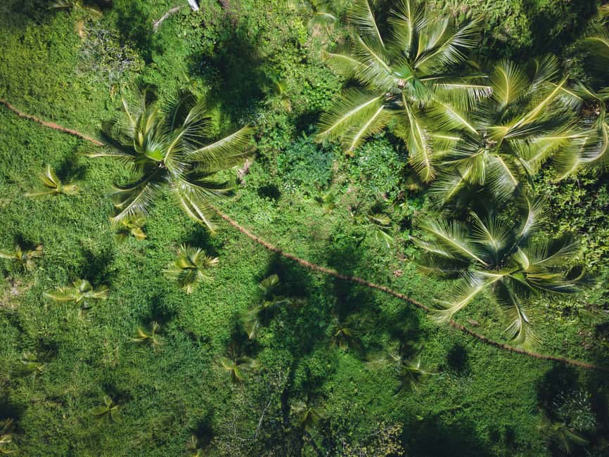 Sabana de la Mar: Los Haitises Guided Hike and Kayaking - Timing, weather, and wildlife