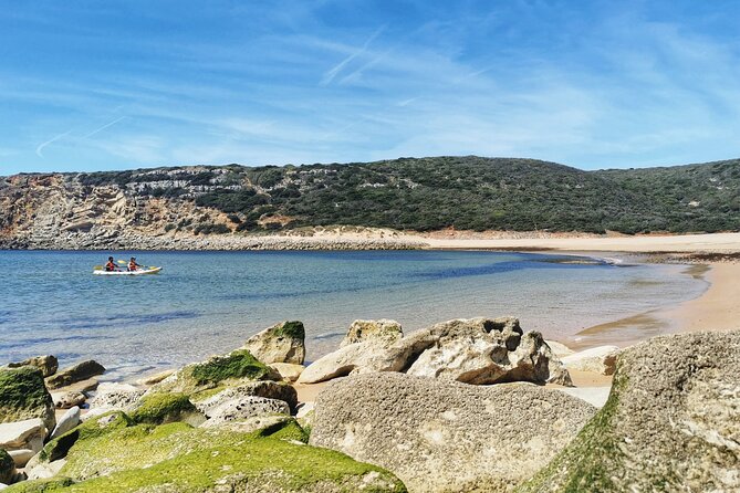 Sagres: Praia Da Ingrina Caves Guided Kayaking Tour - Purple caves, mussels, and percebes