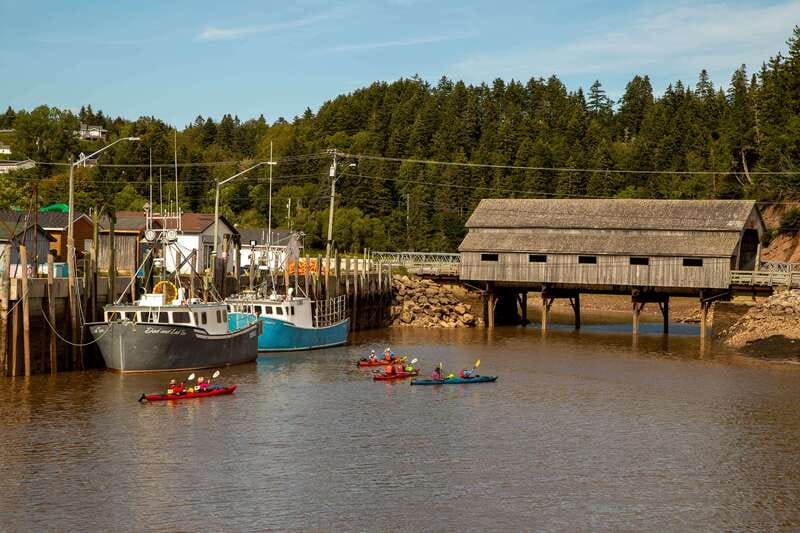 Saint John: Guided Kayaking Tour of St. Martins Sea Caves - Starting in St. Martins Harbour