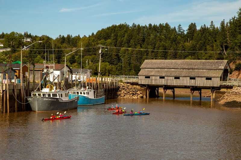 Saint John: Guided Kayaking Tour of St. Martins Sea Caves - Red Cliffs, Seals, Eagles, and Porpoise