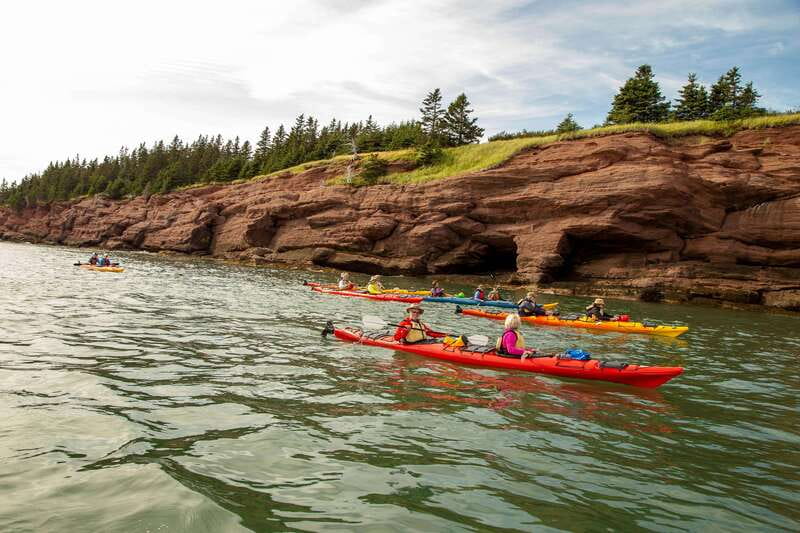 Saint John: Guided Kayaking Tour of St. Martins Sea Caves - Equipment and Comfort for First-Time Kayakers