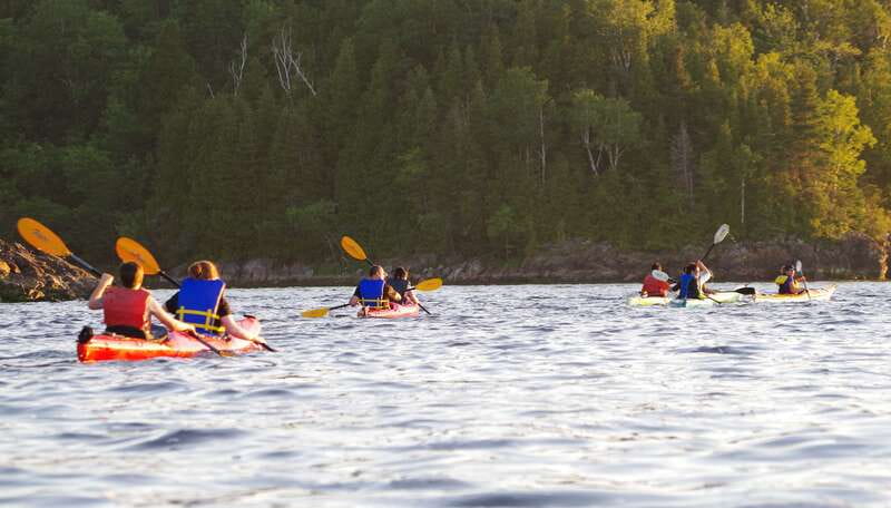 Saint John River: River Relics Kayak Tour - Bald Eagles, herons, sturgeon, and Harbour Seals