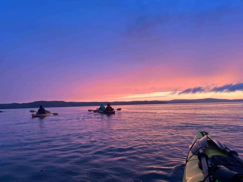 Saint John River: River Relics Kayak Tour - How the $83 price measures up