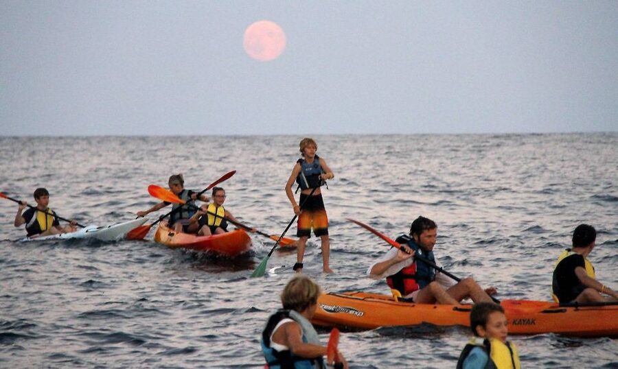 Saint-Tropez: Kayak Experience in Ramatuelle Reserve - Paddling past Pampelonne Beach