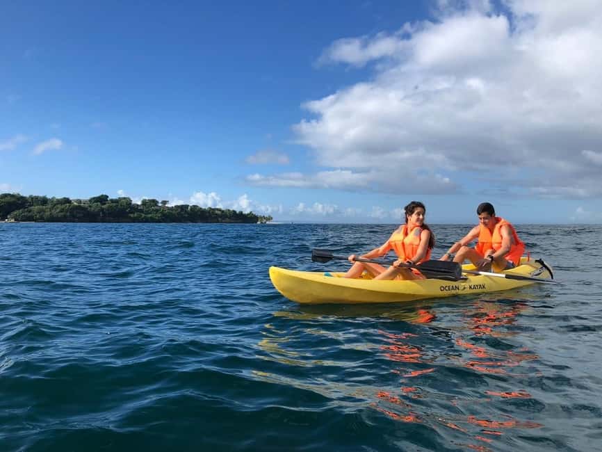 Samaná: Whale, Cayo Levantado, & Kayak in Samaná Bay Tour - Should you book the Samaná whale and kayak tour?