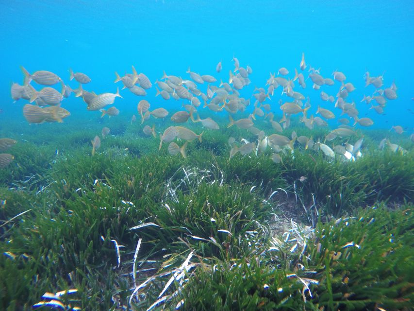 San José: Cabo de Gata Natural Park Kayak and Snorkel Tour - The guide makes the difference