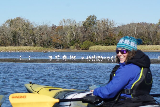 Sandhill Crane Kayak Tour with Chattanooga Guided Adventures - Key points to know before you book