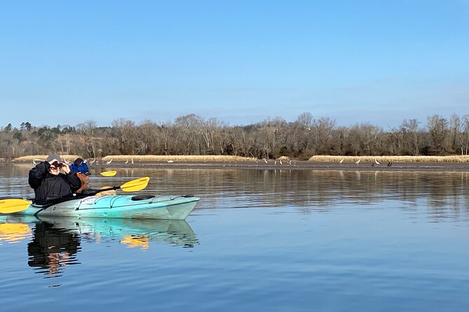 Sandhill Crane Kayak Tour with Chattanooga Guided Adventures - Why the winter timing matters