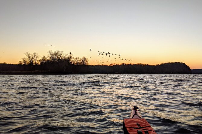 Sandhill Crane Kayak Tour with Chattanooga Guided Adventures - Value: gear, guidance, and a rare season