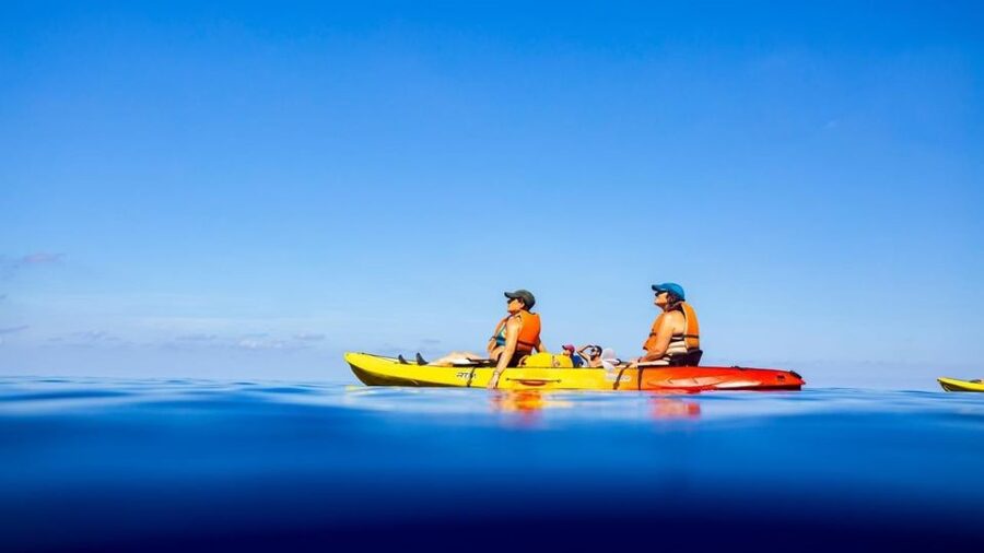 Sant Elm: Guided kayak tour to the island Dragonera - The return paddle to Sant Elm
