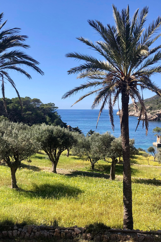 Sant Elm: Guided kayak tour to the Island Dragonera & Hiking - Walking to Far de Tramuntana