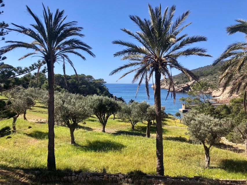 Sant Elm: Guided kayak tour to the island Dragonera - Paddling across toward protected Dragonera