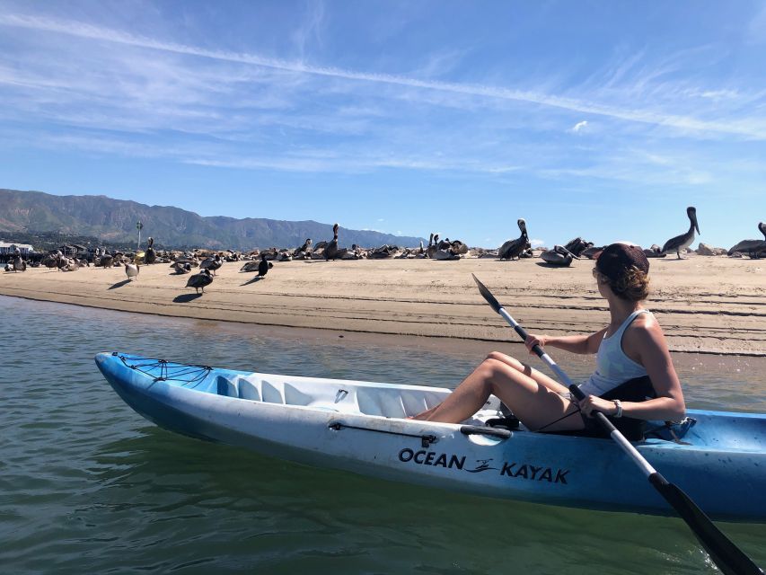 Santa Barbara: 1.5-Hour Harbor Kayak Tour - Key points to know before booking