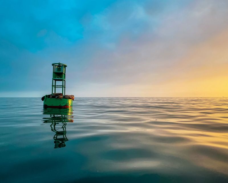 Santa Barbara Harbor: Sunset Kayak Tour (2 Hours) - Paddling through the harbor