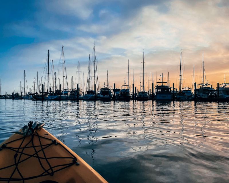 Santa Barbara Harbor: Sunset Kayak Tour (2 Hours) - Wildlife sightings and local stories