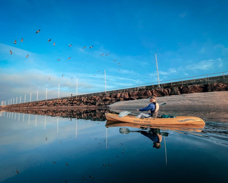 Santa Barbara Harbor: Sunset Kayak Tour (2 Hours) - Who should book this kayak tour?