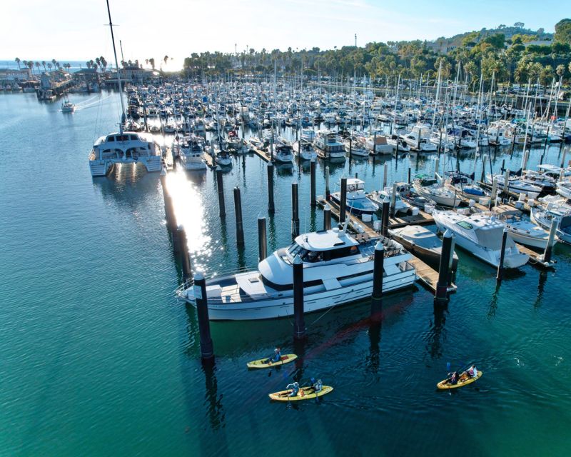 Santa Barbara Harbor: Wildlife Kayak Tour (2 Hours) - Paddling through the working harbor