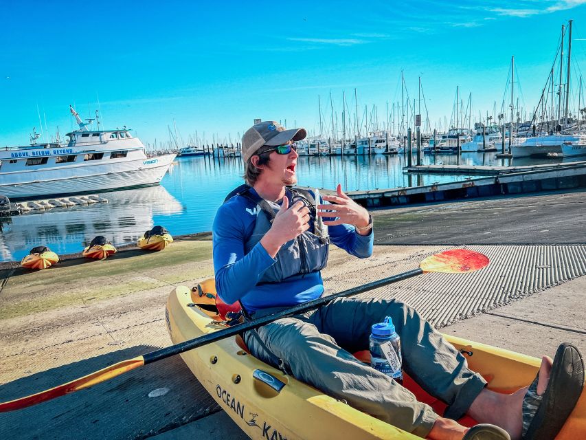 Santa Barbara Harbor: Wildlife Kayak Tour (2 Hours) - Under the historic wharf and out toward the buoys