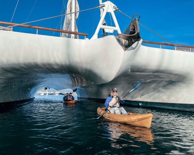 Santa Barbara Harbor: Wildlife Kayak Tour (2 Hours) - What two hours feels like on the water
