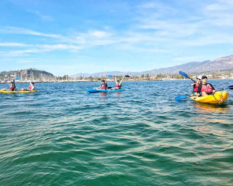 Santa Barbara Harbor: Wildlife Kayak Tour (2 Hours) - Who should book this Santa Barbara kayak tour?