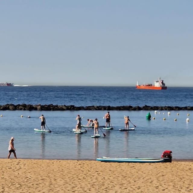 Santa Cruz de Tenerife: Las Teresitas Stand Up Paddle Course - What happens during the 80-minute session