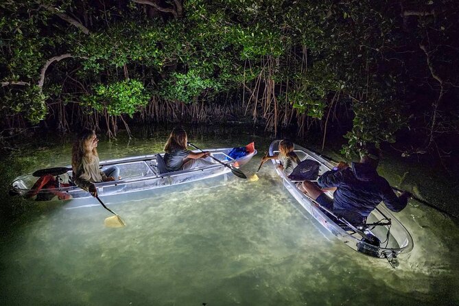 Sarasota - Clear Kayak LED Night Glass Bottom Tour - Meeting at Ken Thompson Parkway after sunset