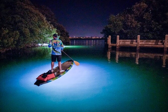 Sarasota - Clear Kayak LED Night Glass Bottom Tour - A slow paddle beneath Sarasota’s evening sky