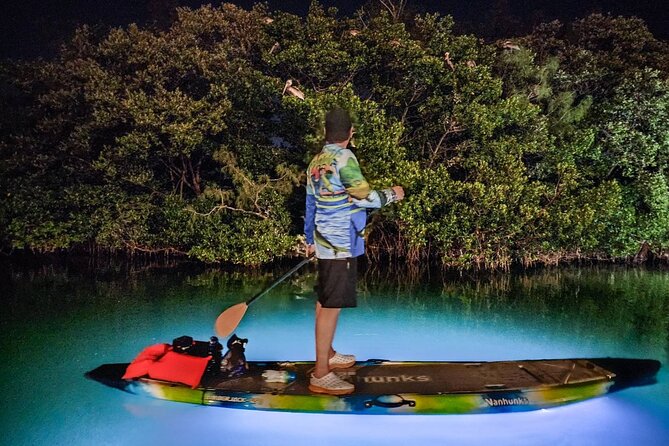 Sarasota - Clear Kayak LED Night Glass Bottom Tour - Nets, shells, and the end-of-tour show and tell