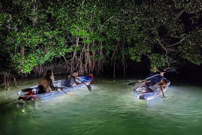 Sarasota - Clear Kayak LED Night Glass Bottom Tour - Is $65 a fair price?