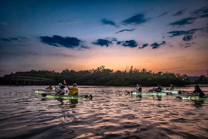 Sarasota - Clear Kayak LED Night Glass Bottom Tour - Who will enjoy this Sarasota night tour?