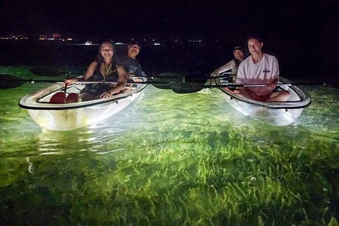 Sarasota - Clear Kayak LED Night Glass Bottom Tour - What the LED light reveals below the boat