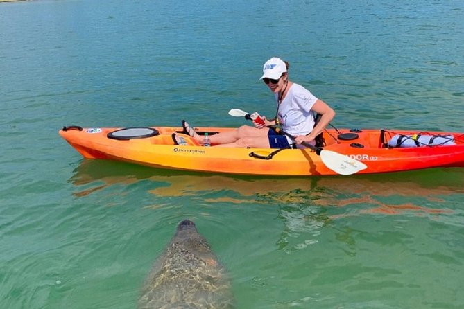Sarasota Guided Mangrove Tunnel Kayak Tour - Getting comfortable in a single or tandem kayak
