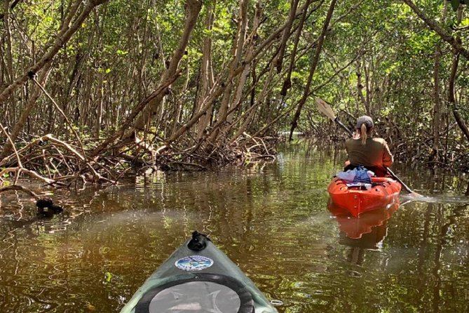 Sarasota Guided Mangrove Tunnel Kayak Tour - Is $59 a fair price?