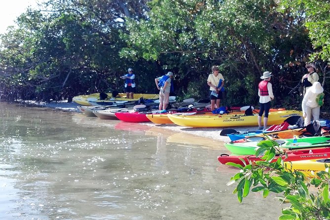 Sarasota Guided Mangrove Tunnel Kayak Tour - Who will enjoy this Sarasota kayak trip?