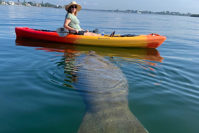 Sarasota Mangrove Tunnel Guided Kayak Adventure - What makes this Sarasota kayak tour worth your time