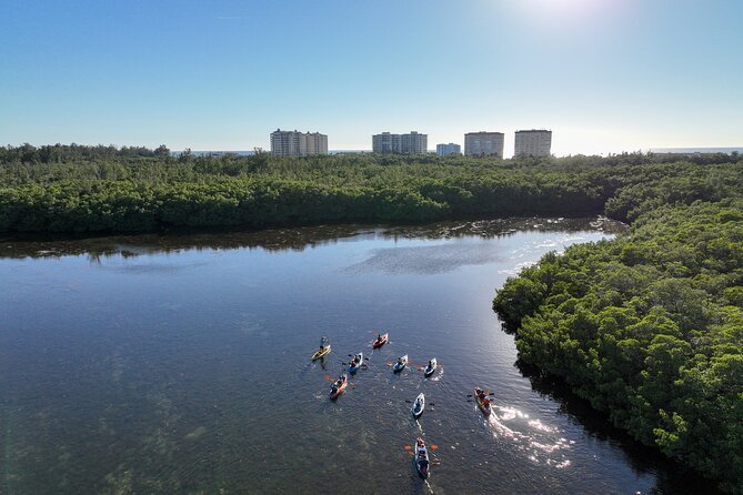 Sarasota Mangrove Tunnel Guided Kayak Adventure - Starting at Ted Sperling Nature Park