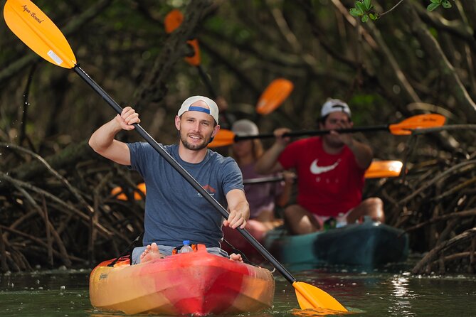 Sarasota Mangrove Tunnel Guided Kayak Adventure - Looking for wildlife across Sarasota Bay