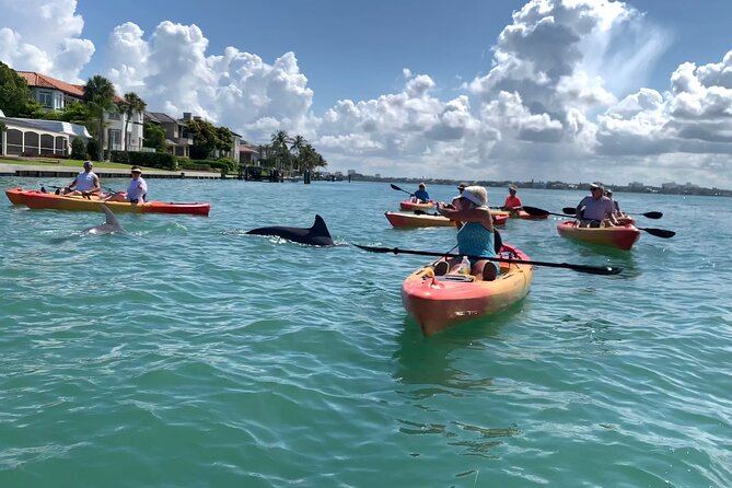 Sarasota Mangrove Tunnel Guided Kayak Adventure - Why the guides make a difference