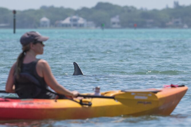 Sarasota Mangrove Tunnel Guided Kayak Adventure - The $65 price and what you receive