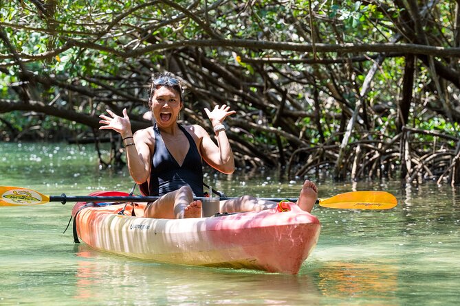 Sarasota Mangrove Tunnel Guided Kayak Adventure - The opening lesson helps you settle in