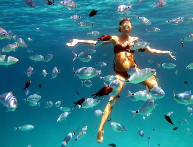 Sardinia: Morning Kayak Tour + Snorkeling and Local Aperitif - The first 40 minutes toward Isola di Proratora