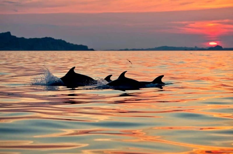 Sardinia: Sunset Kayak Tour + Snorkeling and Local Aperitif - The sea cave behind Isola di Proratora